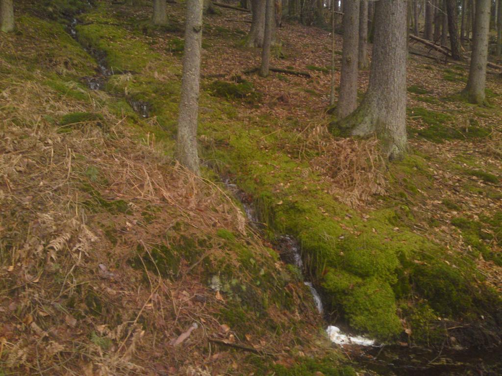 Landgasthof Waldfrieden Wildensee Exterior foto