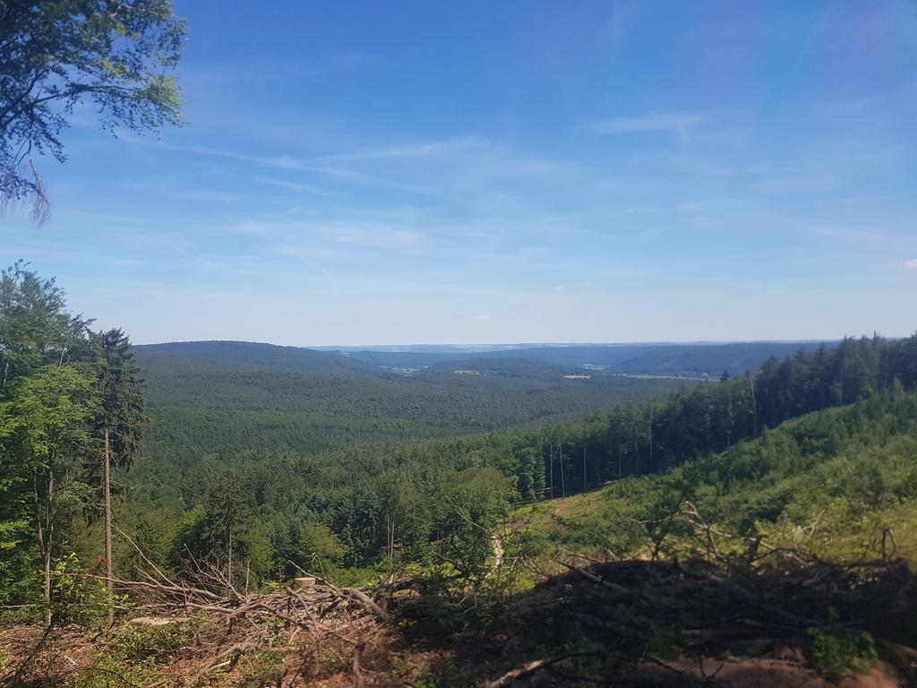 Landgasthof Waldfrieden Wildensee Exterior foto